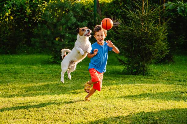 Top 10 Must-Have Outdoor Pet Products for Summer Adventures