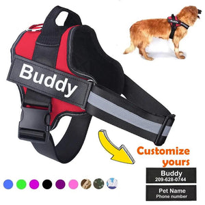 10 Reasons to Change: You Need a Personalized Dog Harness