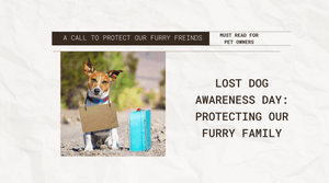 Lost Dog Awareness Day: Protecting Our Furry Family