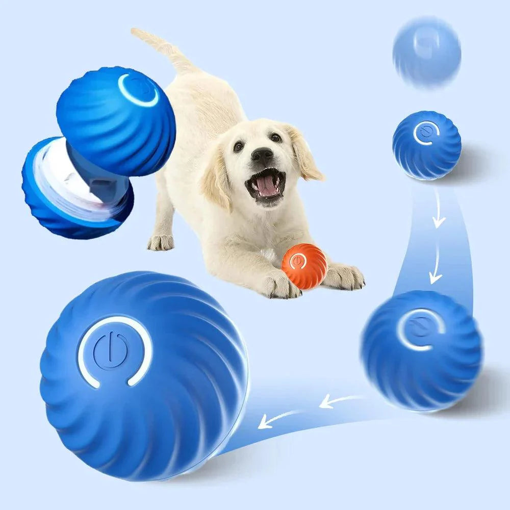 The Science Behind Interactive Self-Moving Dog Toys