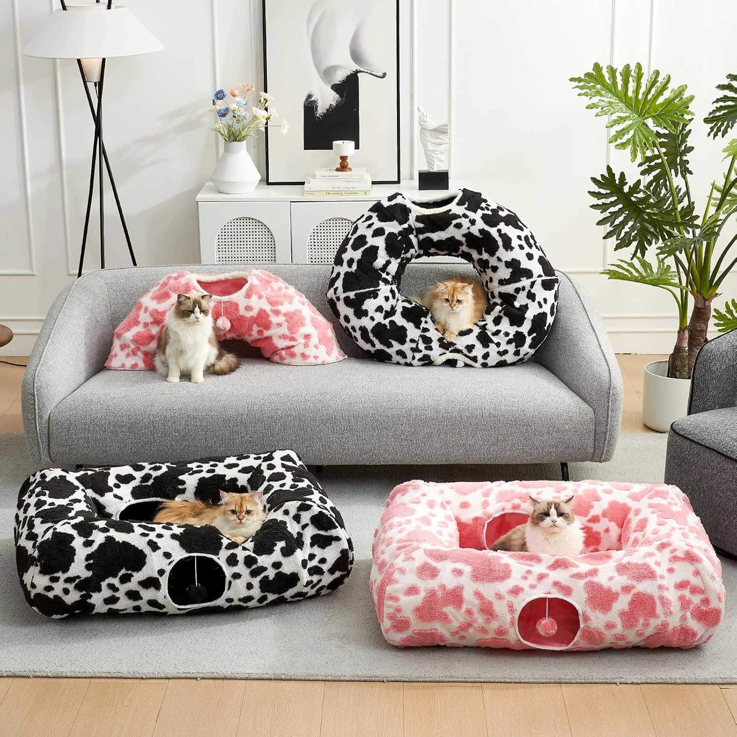 Pets & Accessories