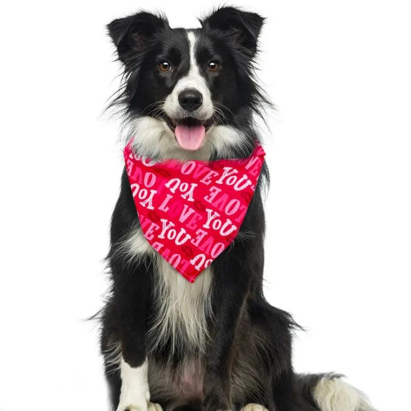 Pet Gifts Collection at Heart Crafted Gifts