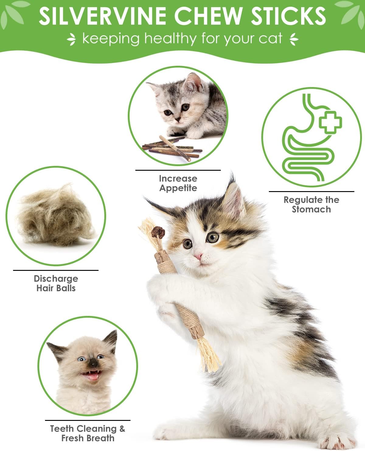 Silvervine Sticks (10 Pack) – Natural Catnip Chew Toys for Kittens