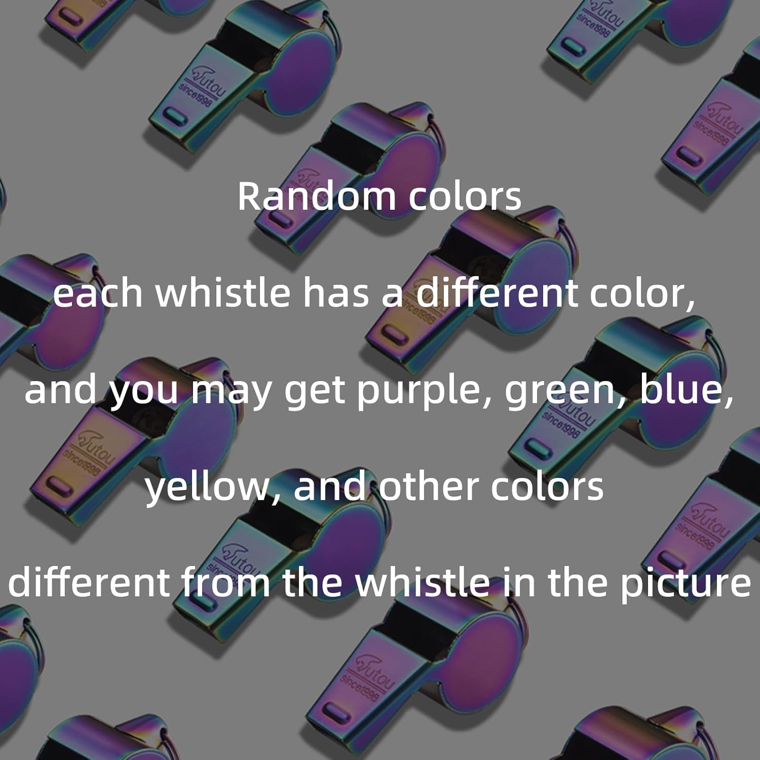 Stainless Steel Coach Whistle with Lanyard – Loud & Durable