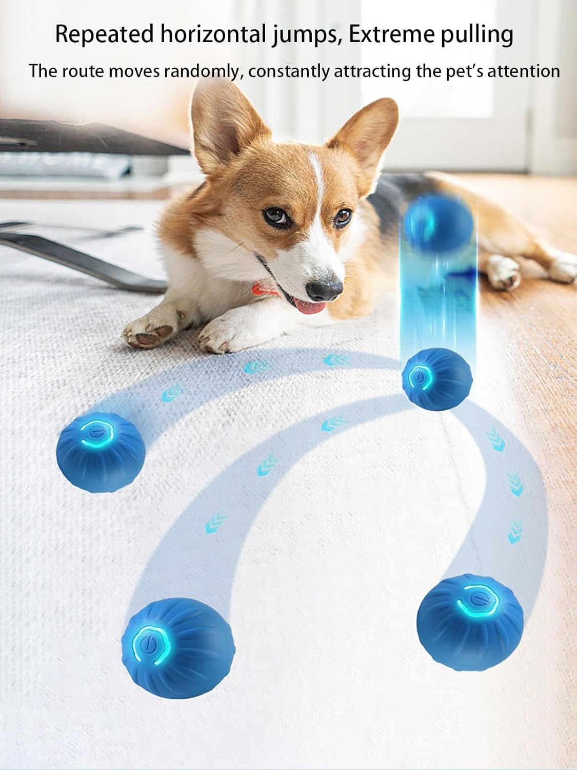 Interactive LED Dog Ball (2 inch) – USB Rechargeable
