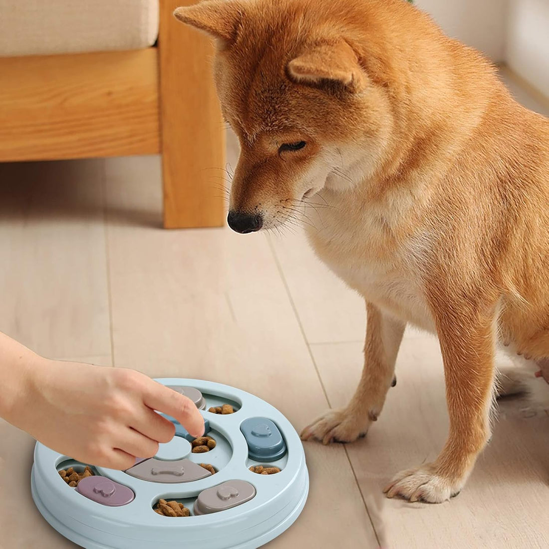 Dogs Food Puzzle Feeder Toys for IQ Training & Mental Enrichment Dog