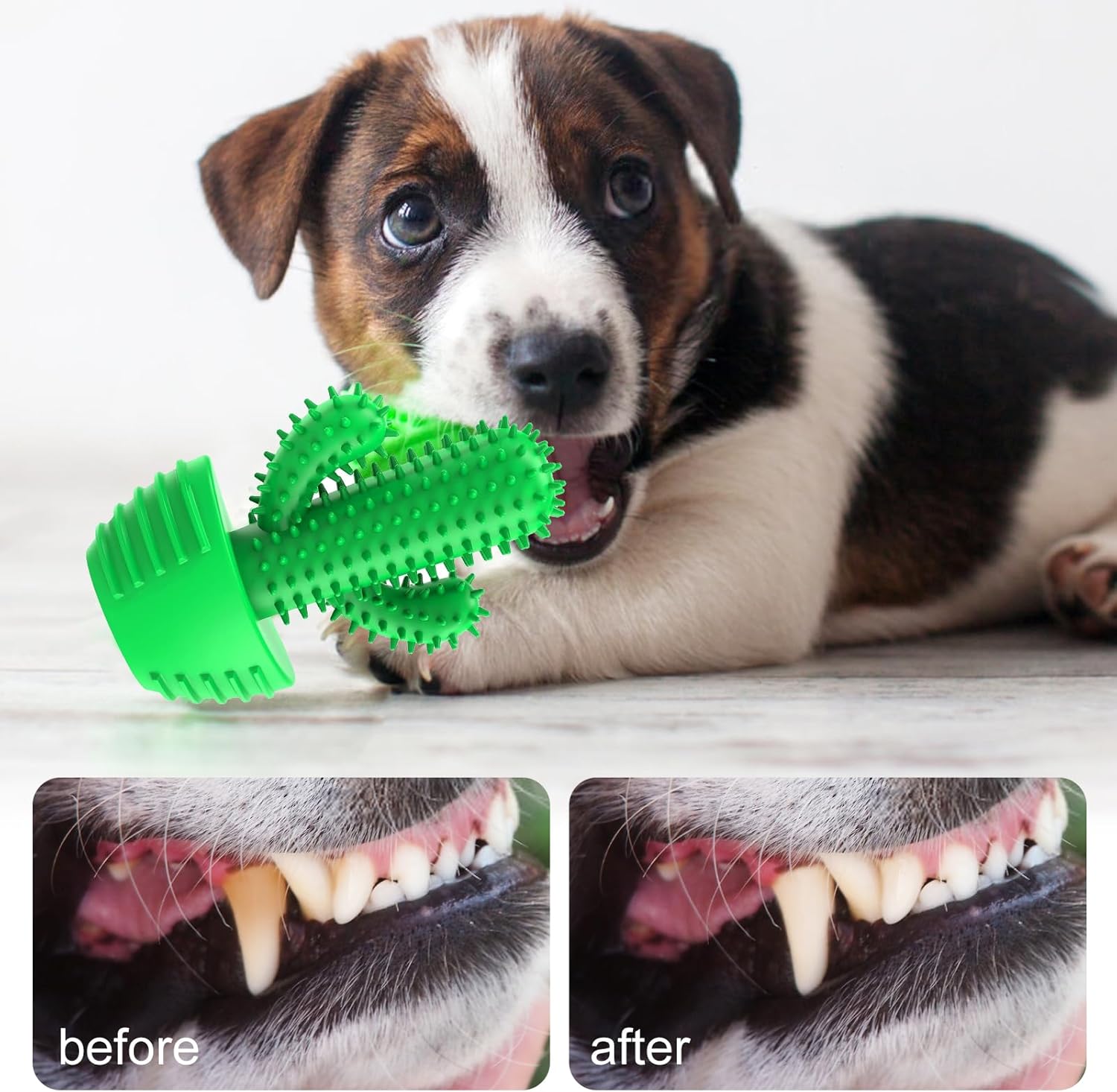Innovative Dog Toothbrush Chew Toy – Cactus Design Dental Cleaning Stick Dogs