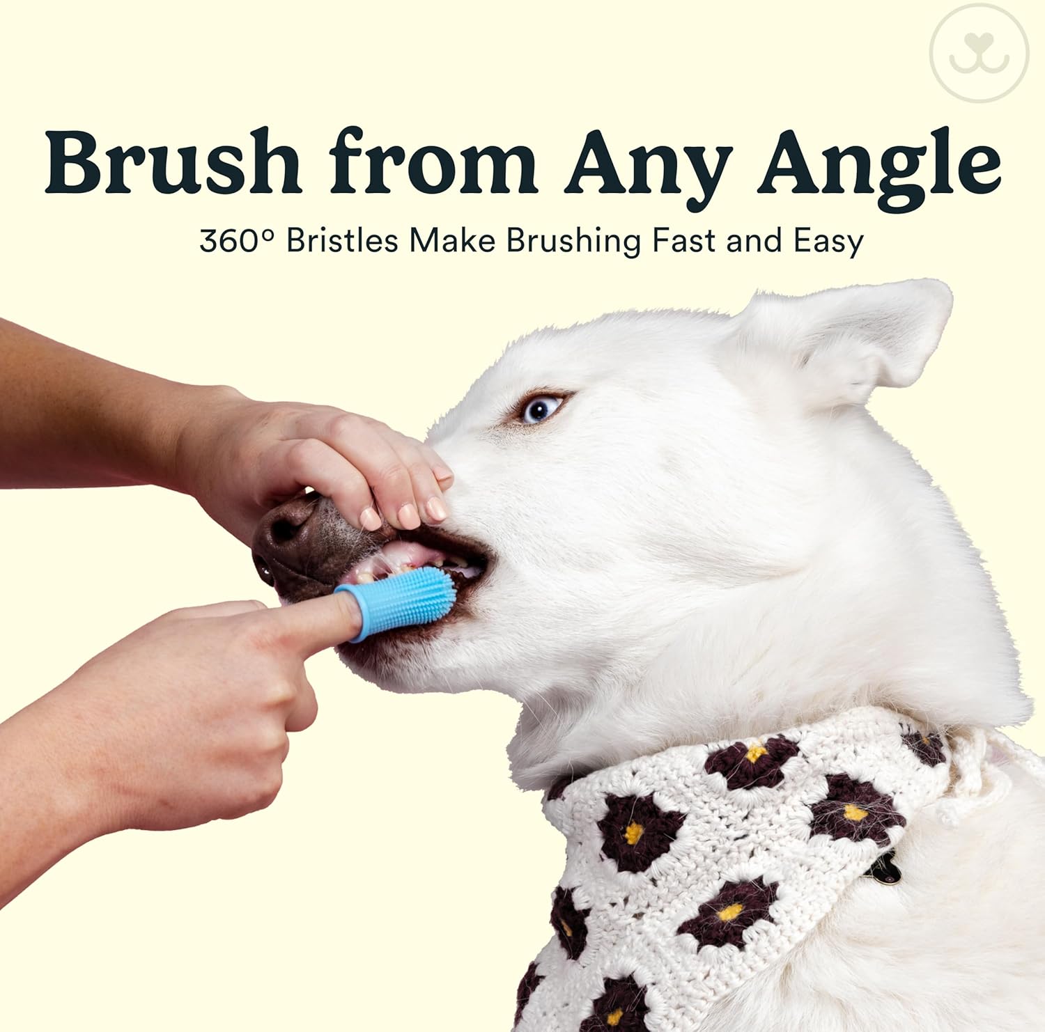 Jasper Dog Toothbrush – Finger & Cat Toothbrush Kit for Small & Large Pets