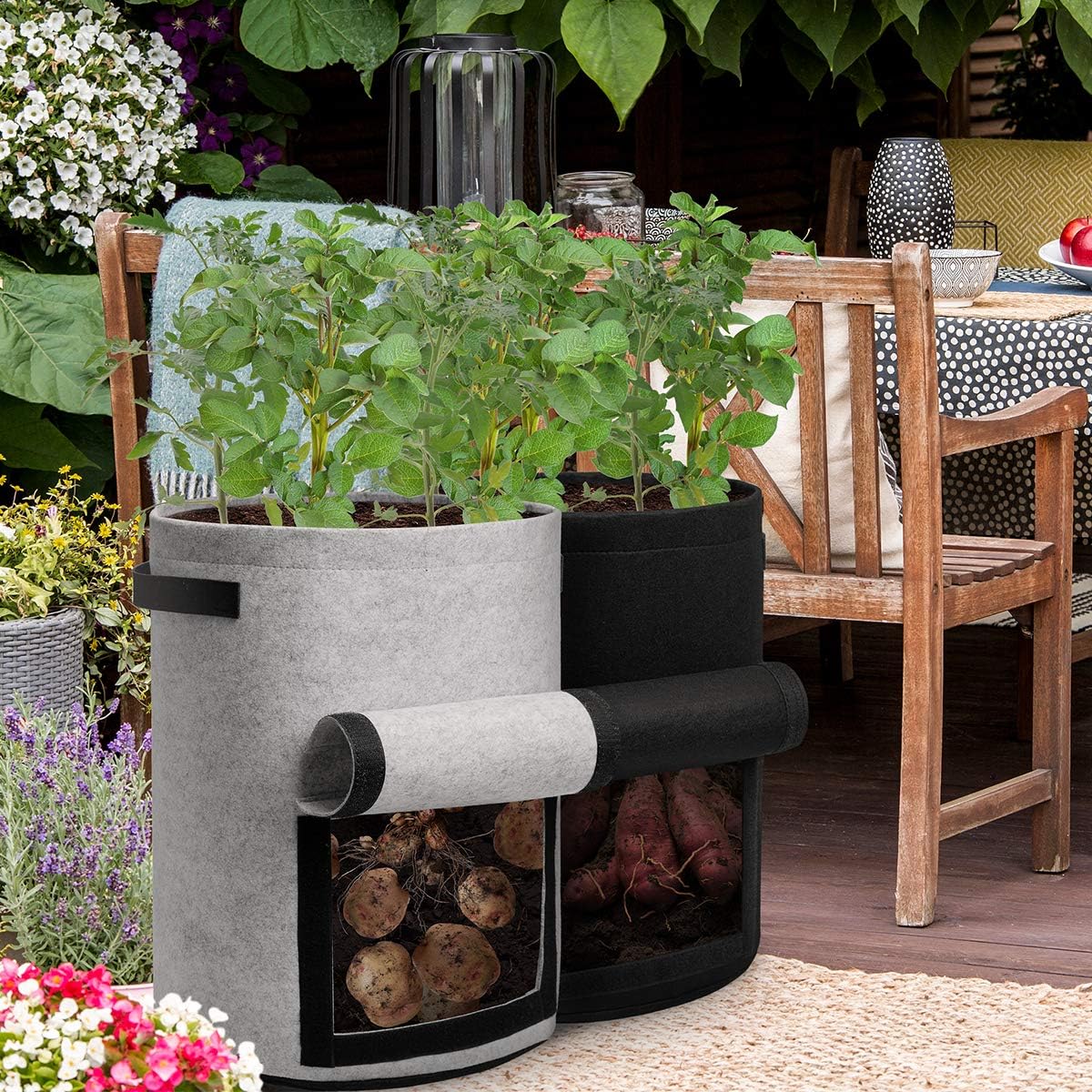 4-Pack 10 Gallon Grow Bags with Harvest Window – Heavy-Duty Fabric Planter