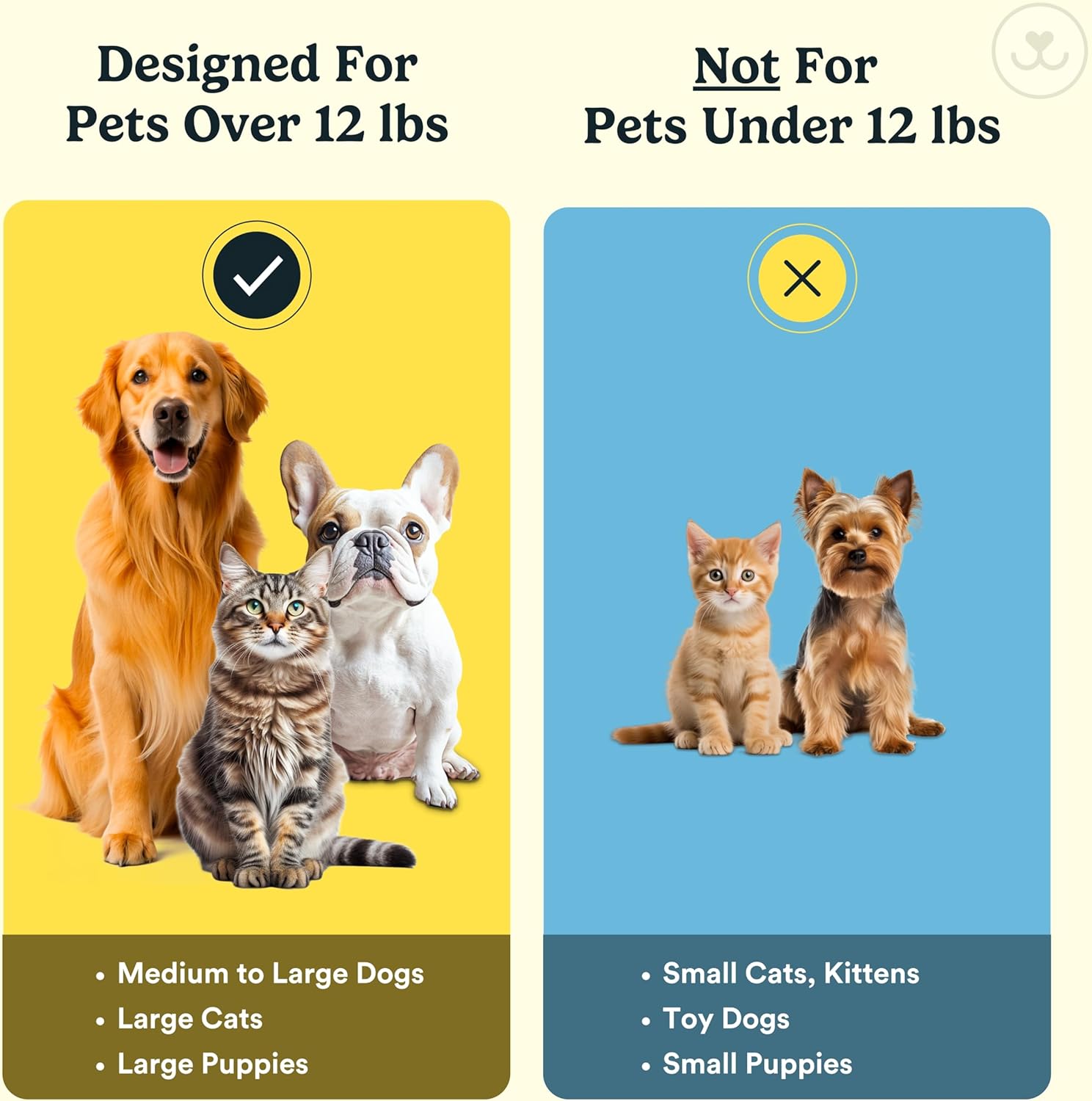 Jasper Dog Toothbrush – Finger & Cat Toothbrush Kit for Small & Large Pets