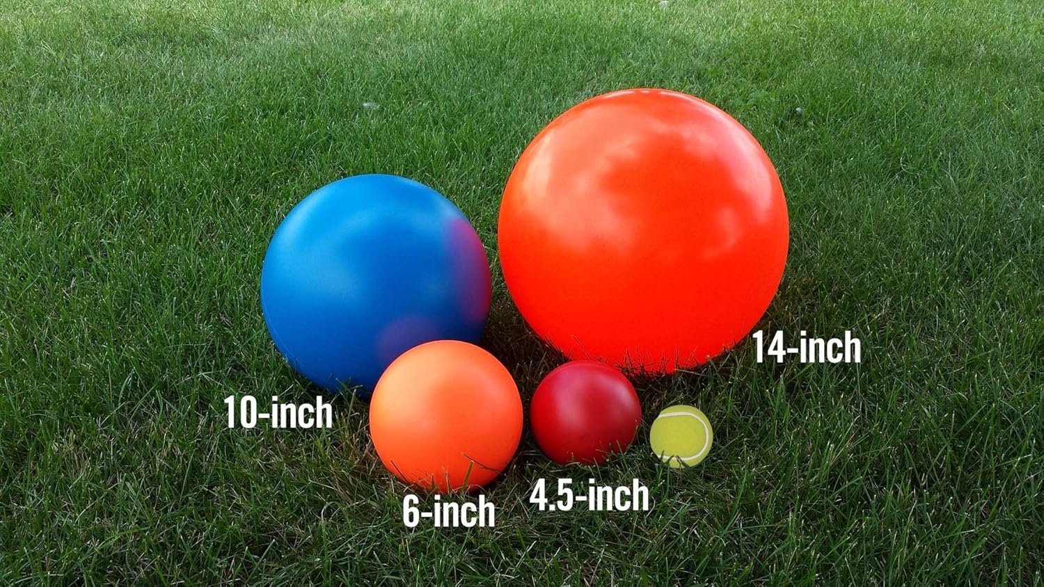 Virtually Indestructible Best Ball for Dogs, 10-inch