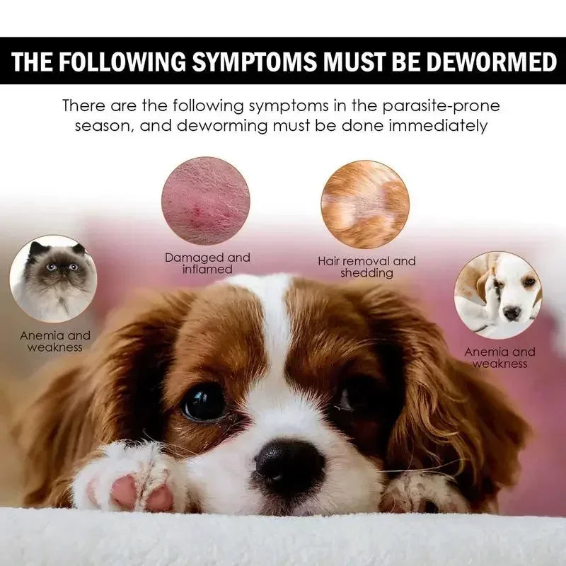 Pets Anti-Flea Drops: Insecticides Remover Spray remove fleas or lice