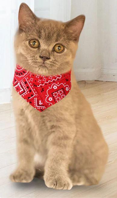 Dog/Cat Bandanas – Perfect Red Heart Pet Scarf for Pet's Fashion! - Heart Crafted Gifts