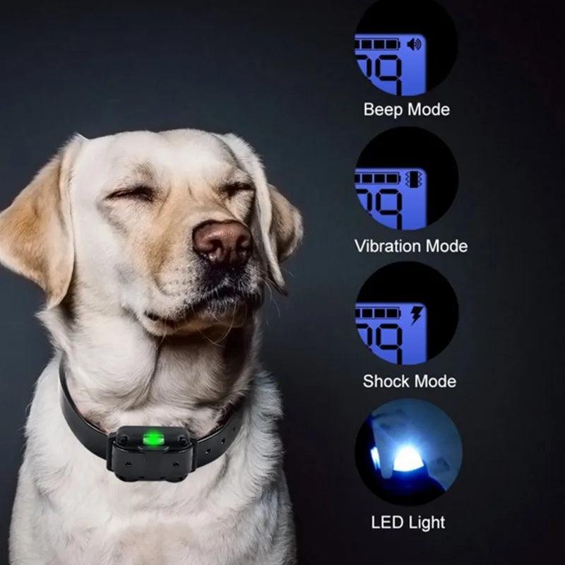 Dog Training Collar