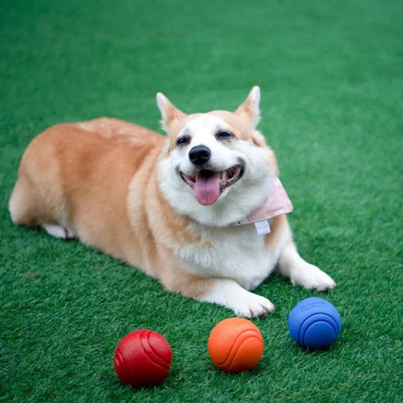 Dog Chew Toy