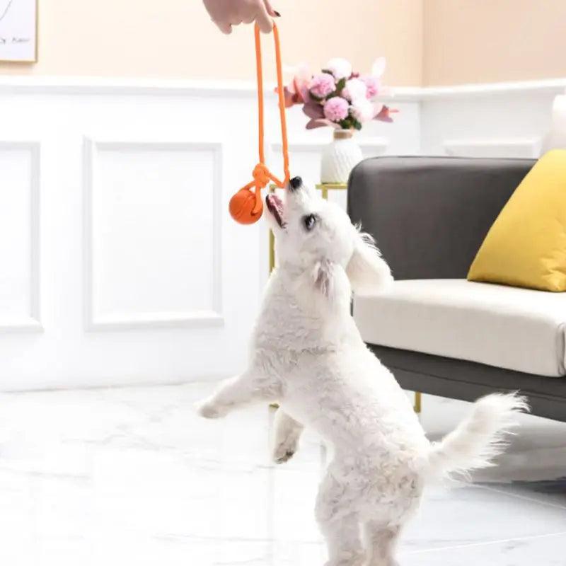 Indestructible Chew Ball for Small, Medium & Large Dogs - Heart Crafted Gifts