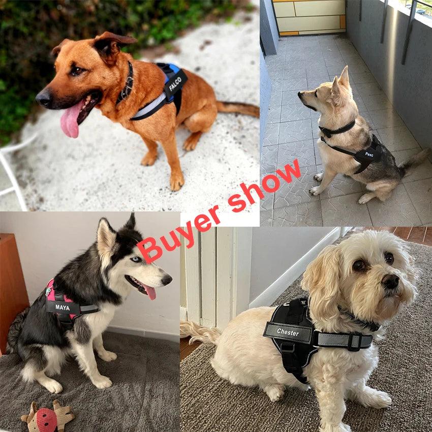 Personalized Dog Harness ID: No Pull Reflective Vest - Heart Crafted Gifts