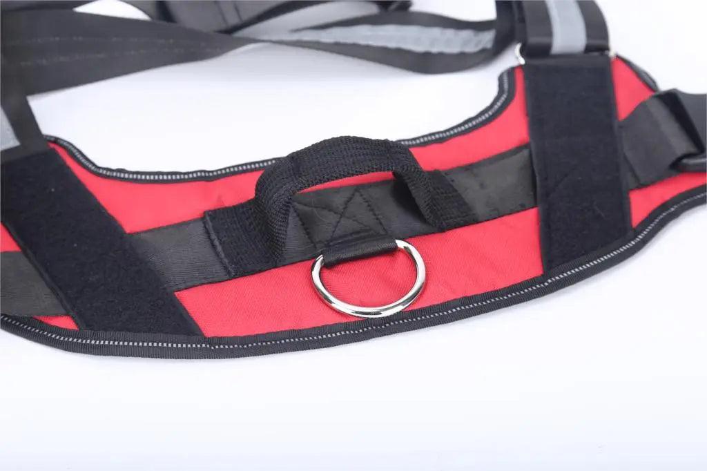 Personalized Dog Harness ID: No Pull Reflective Vest - Heart Crafted Gifts