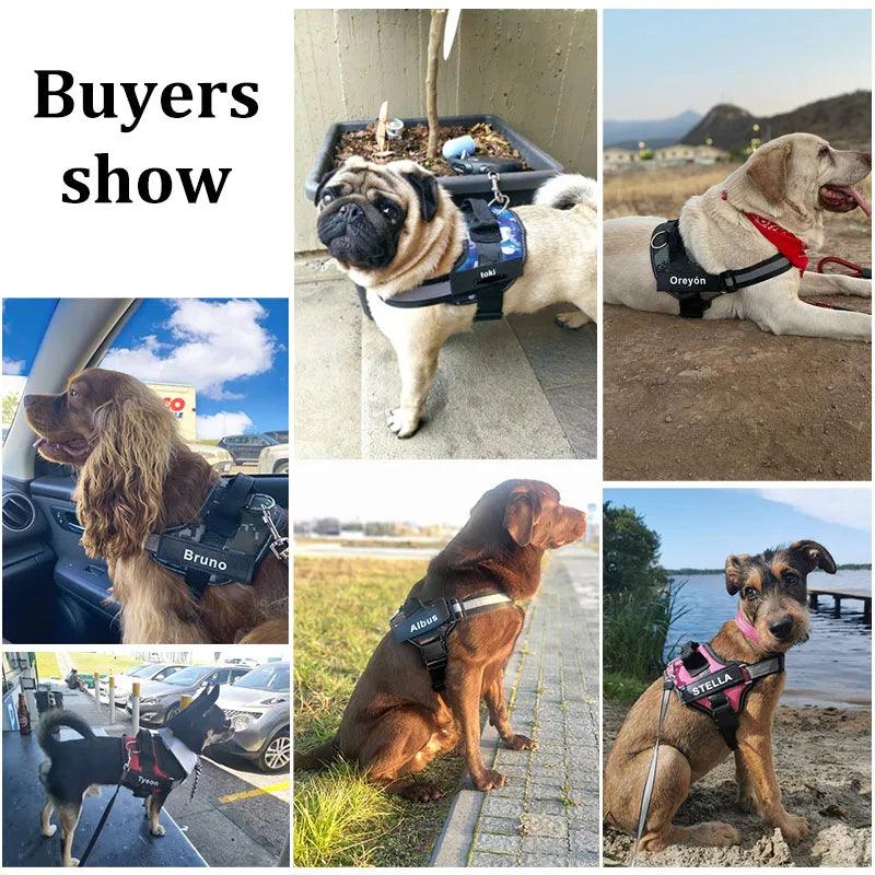 Personalized Dog Harness ID: No Pull Reflective Vest - Heart Crafted Gifts