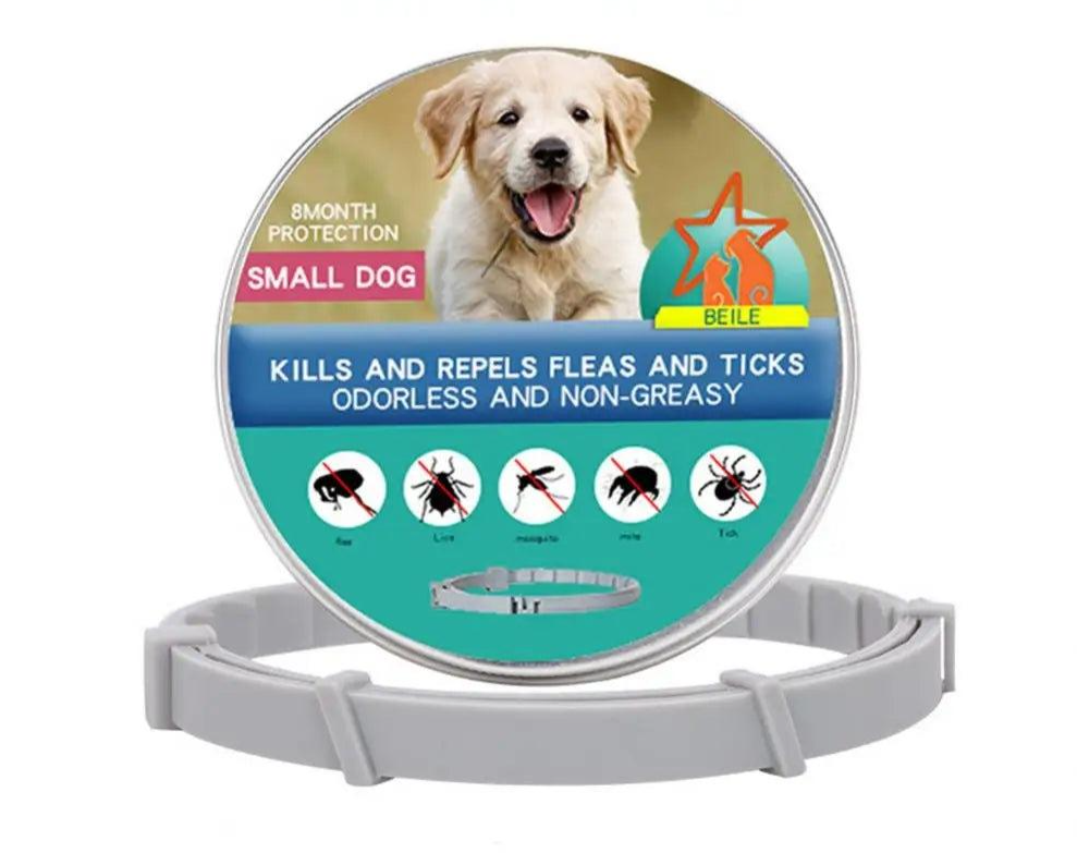 Lost Dog Awareness Day: Protecting Our Furry Family – Heart Crafted Gifts