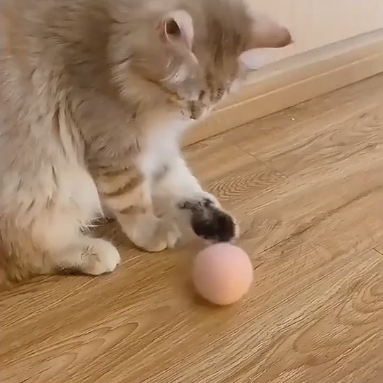  Video of Smart Electric Cat Plush Ball interactive self moving and self rolling Ball Toy for Cat and Dogs USB Catnip