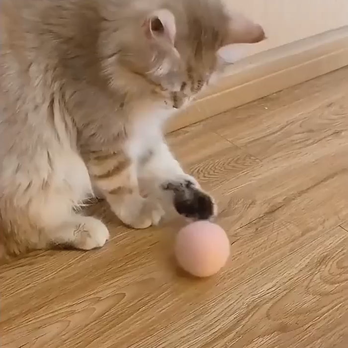  Video of Smart Electric Cat Plush Ball interactive self moving and self rolling Ball Toy for Cat and Dogs USB Catnip
