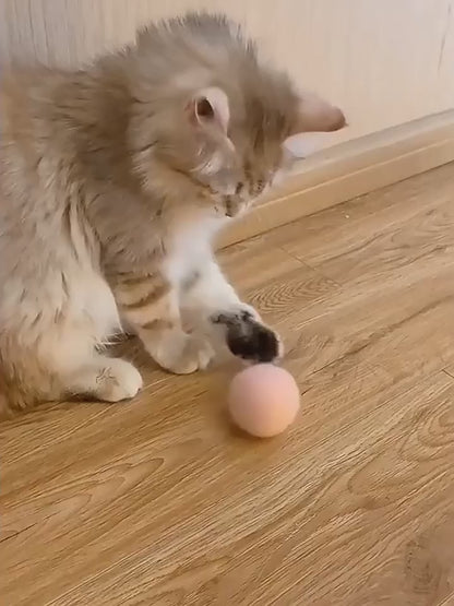 Video of Smart Electric Cat Plush Ball interactive self moving and self rolling Ball Toy for Cat and Dogs USB Catnip