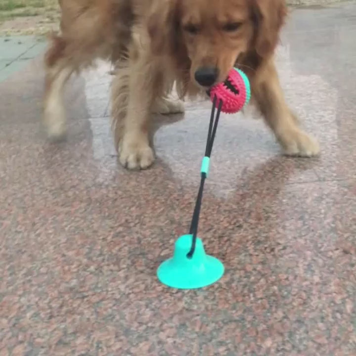 Dog Ball with Rope and Suction Cup