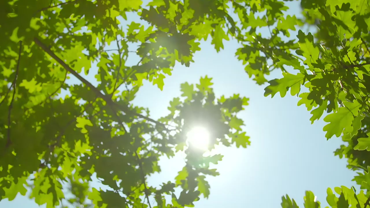 Solar Bird Bath Fountain Pump with 6 Spray Nozzles – Eco-Friendly Outdoor