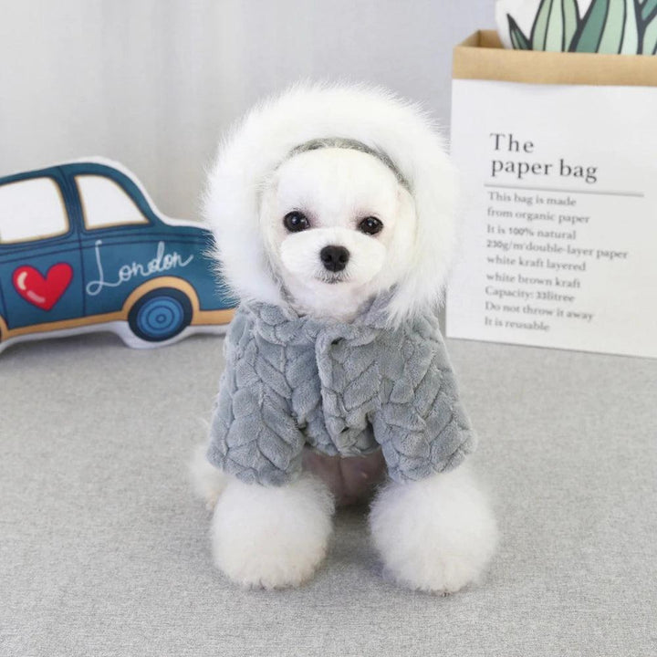 Dog Clothes